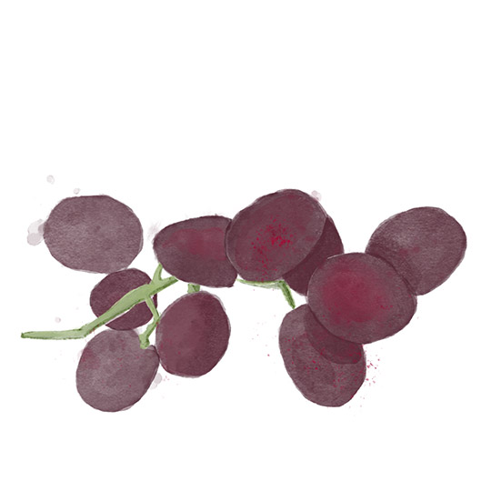 Aquarel grapes