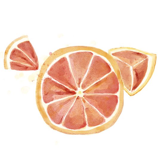 Aquarel blood orange